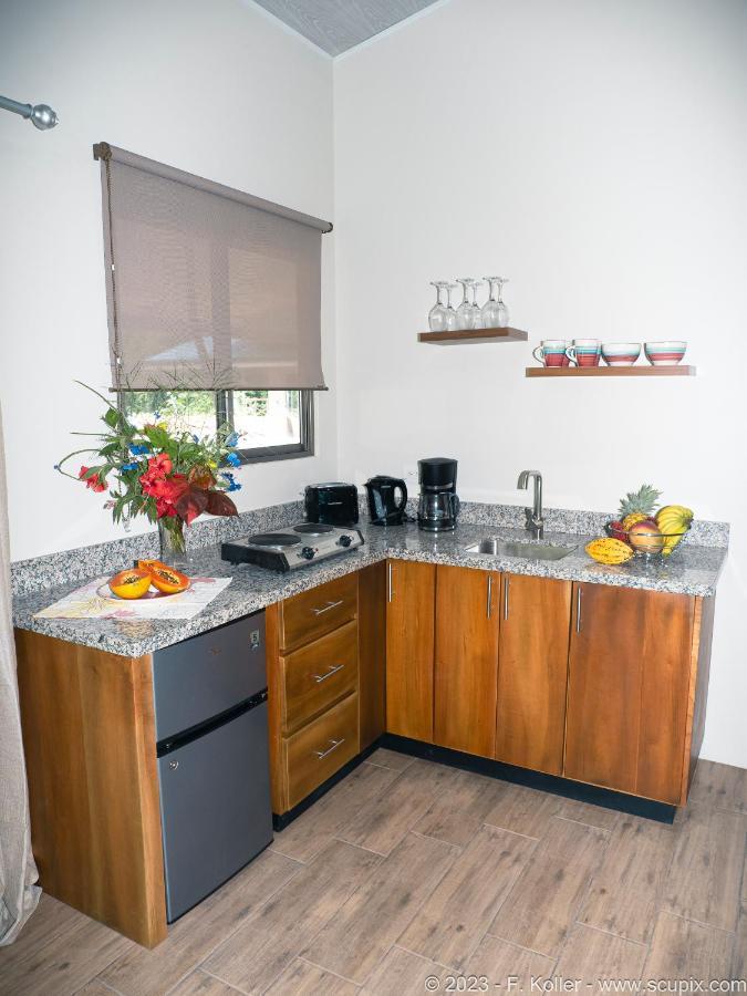 Luxury Apartments Nauyaca By Paradiselodge Platanillo Luaran gambar