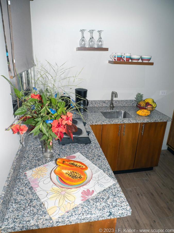 Luxury Apartments Nauyaca By Paradiselodge Platanillo Luaran gambar